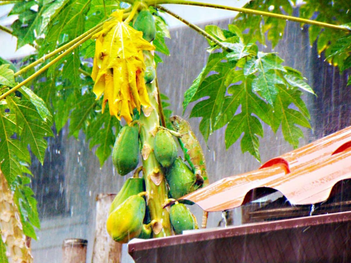 Cabanas Colindas Panama Dış mekan fotoğraf